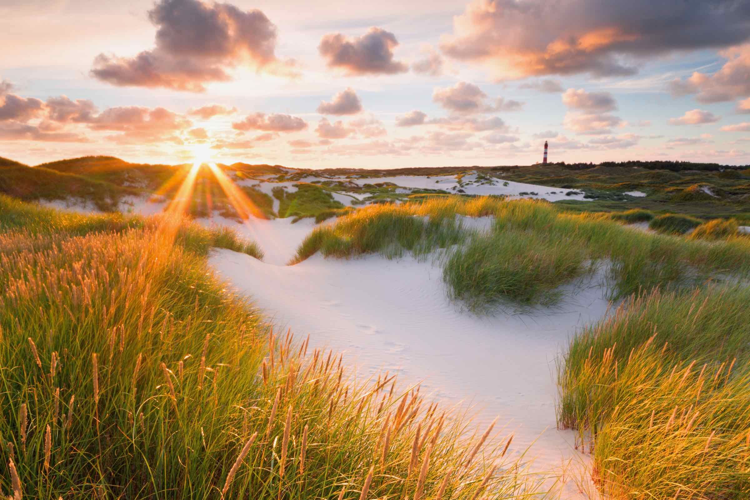 Der Wind kann (Sand-)Berge versetzen! Die Dünen sind das Markenzeichen von Amrum. Wir wandern auf verschlungenen Pfaden und erzählen Ihnen mehr über die Entstehung und die Pflanzen der Dünen.