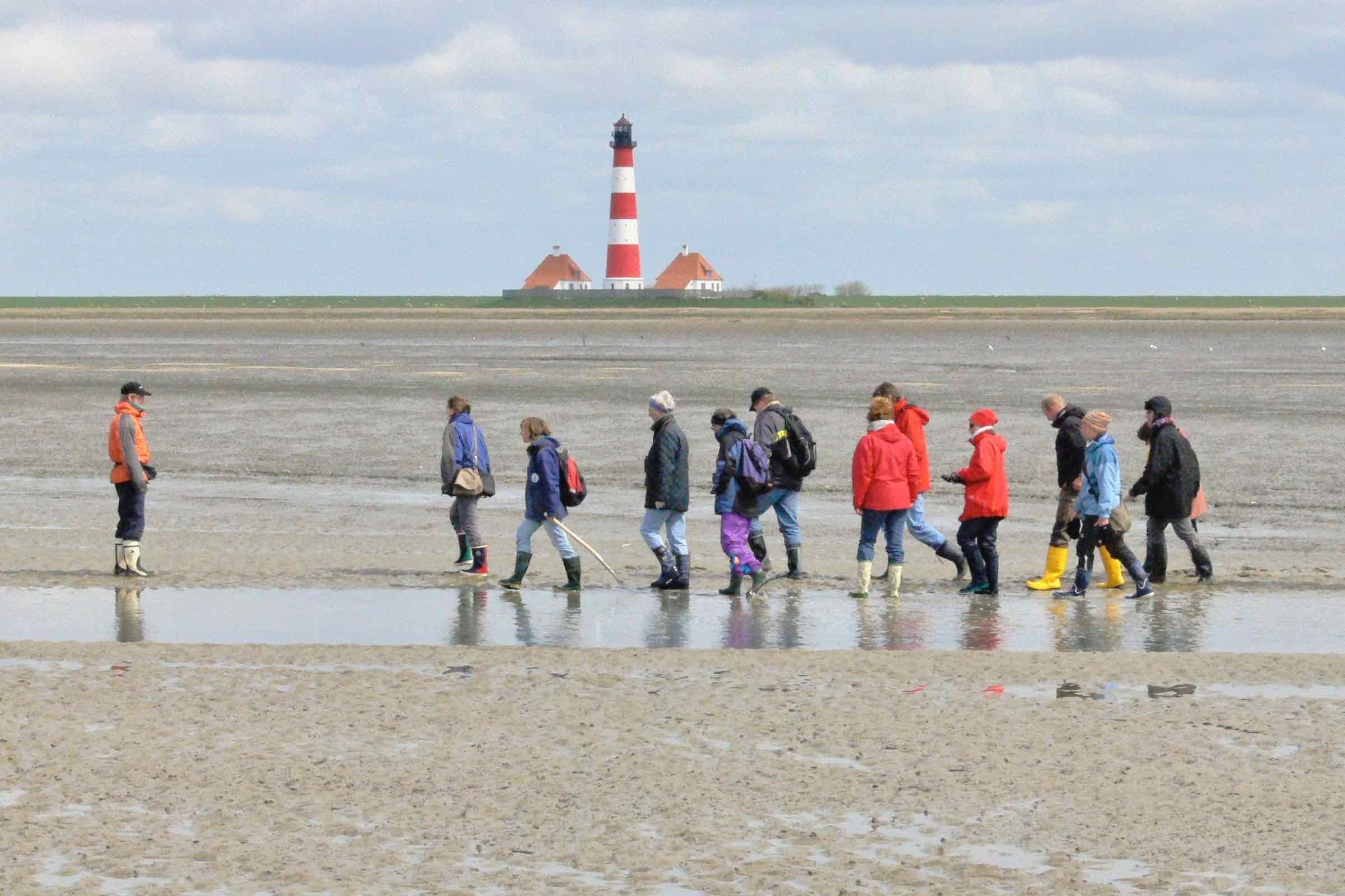 Führung in das Weltnaturerbe Wattenmeer vor Westerhever. Bei Ebbe erkunden wir Sand, Schlick und Priele und erfahren, wie Muscheln, Schnecken oder Krabben hier leben können.