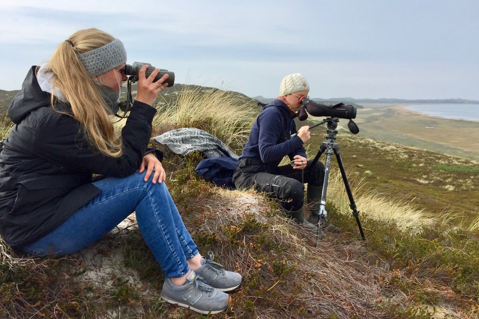 Mit Fernglas und Spektiv kommt man den Vögeln in Hörnum (Sylt) ganz nah.