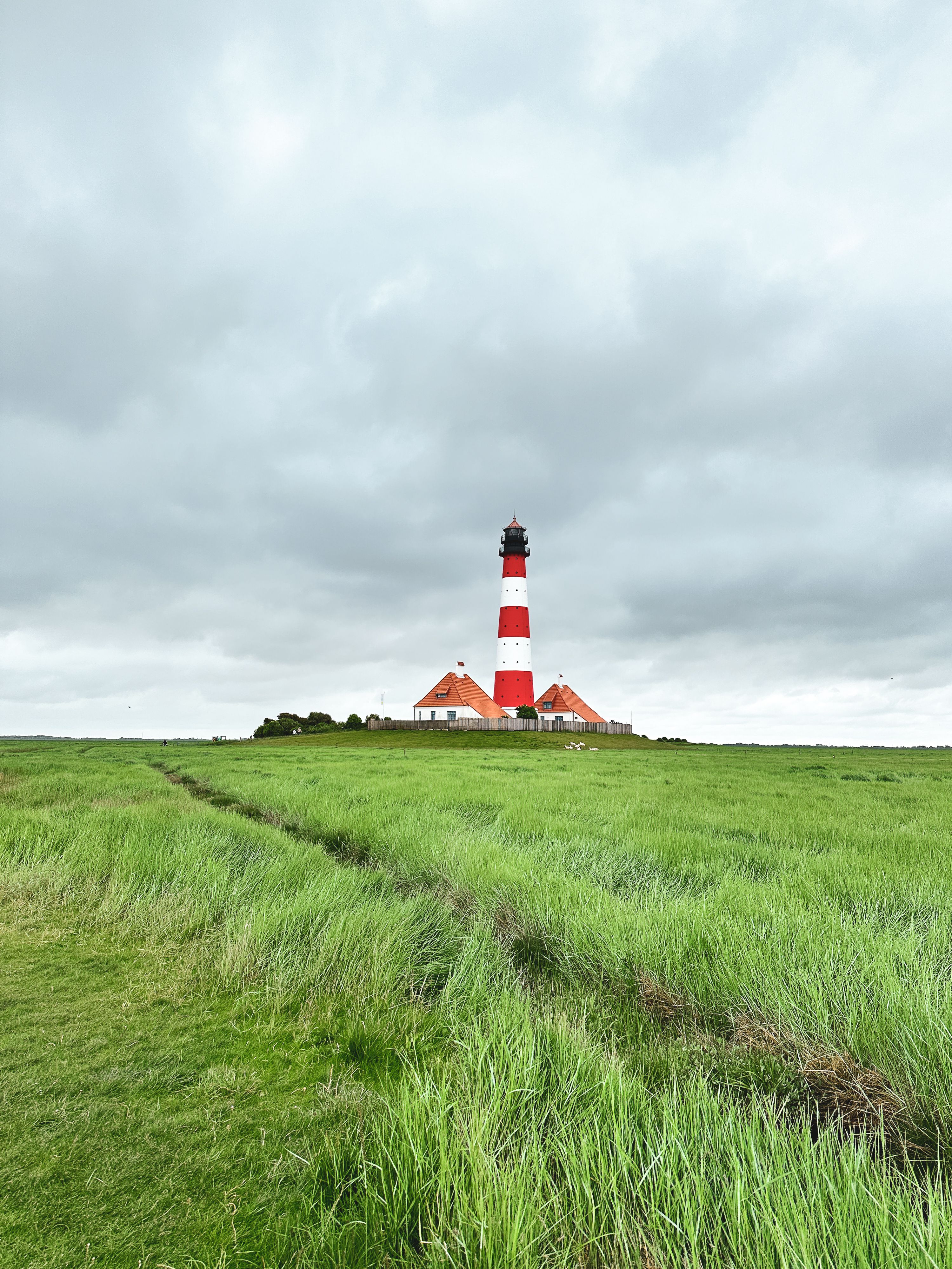 Blick über grüne Wiesen hin zum Westerhever Leuchtturm