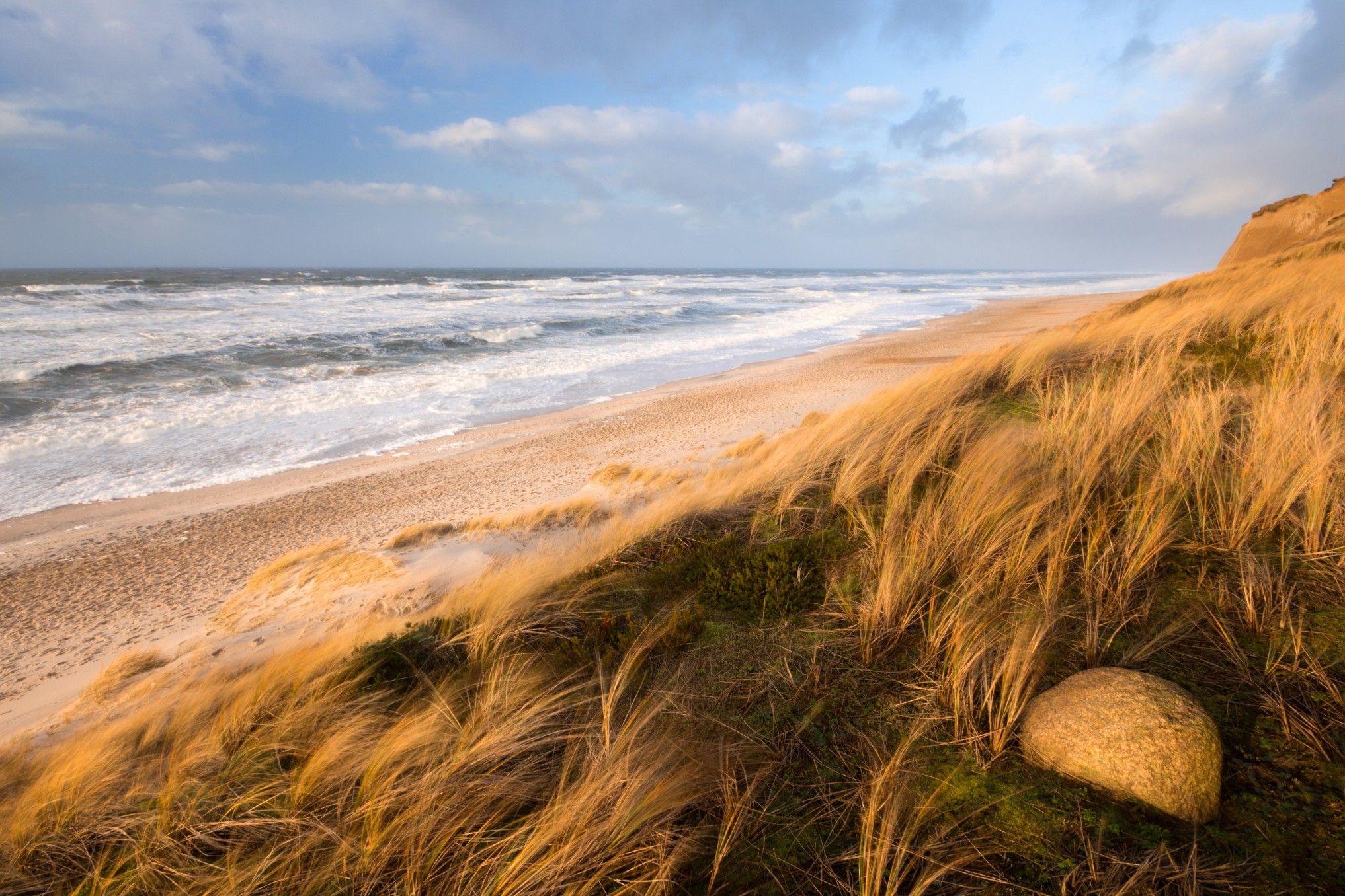 Bei dieser Wanderung zeigen wir Ihnen häufige Strandfunde. Erfahren Sie Spannendes zu Muscheln, Schnecken, Tangen und anderen rätselhaften Dingen im Spülsaum der Nordsee.