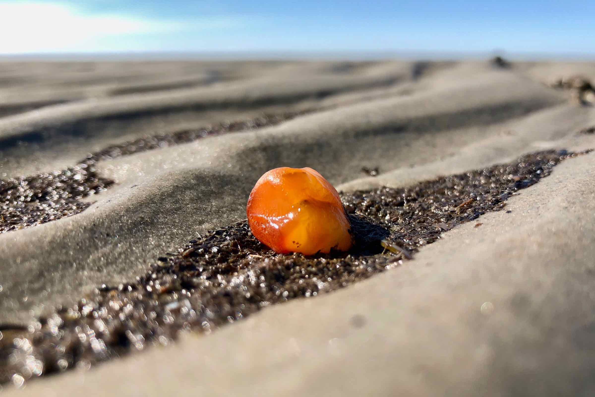 Schnecken, Federn, Muscheln und Müll. Am Strand gibt es viel zu entdecken, auch Bernsteine? Wir stellen diverse Strandfunde vor und geben Ihnen im Anschluss die Möglichkeit sich einen eigenen Bernstein zu schleifen.