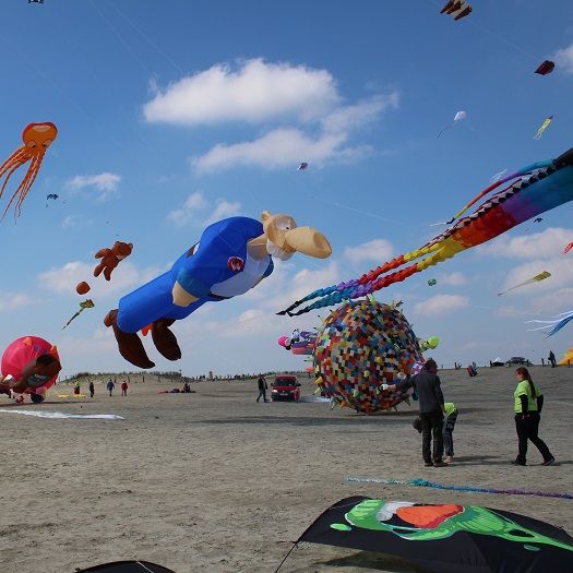 Die 3. Drachenflugtage in Büsum