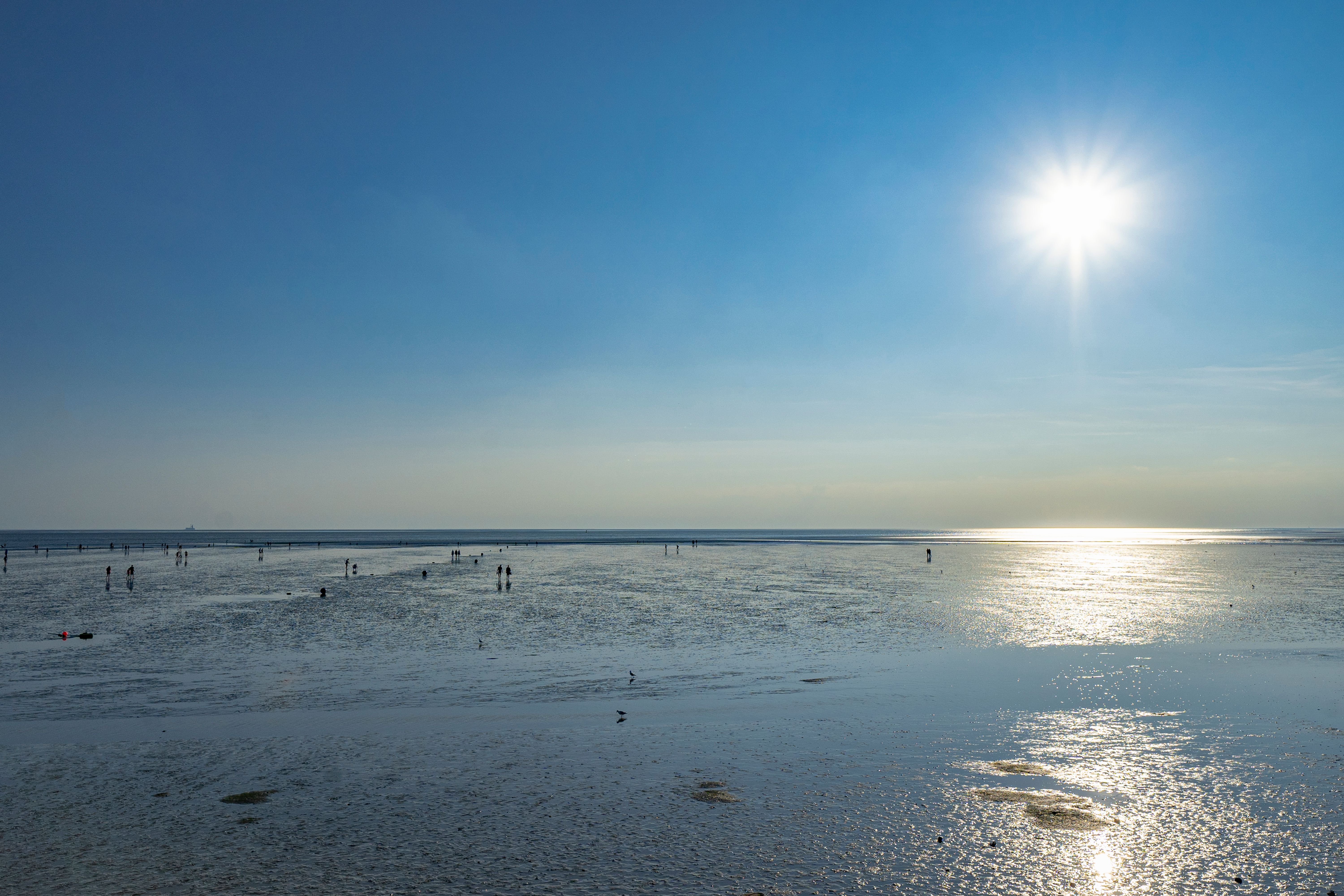 Blick über das Watt vor Büsum, die Sonne scheint am wolkenlosen Himmel und im Watt laufen einige Gäste