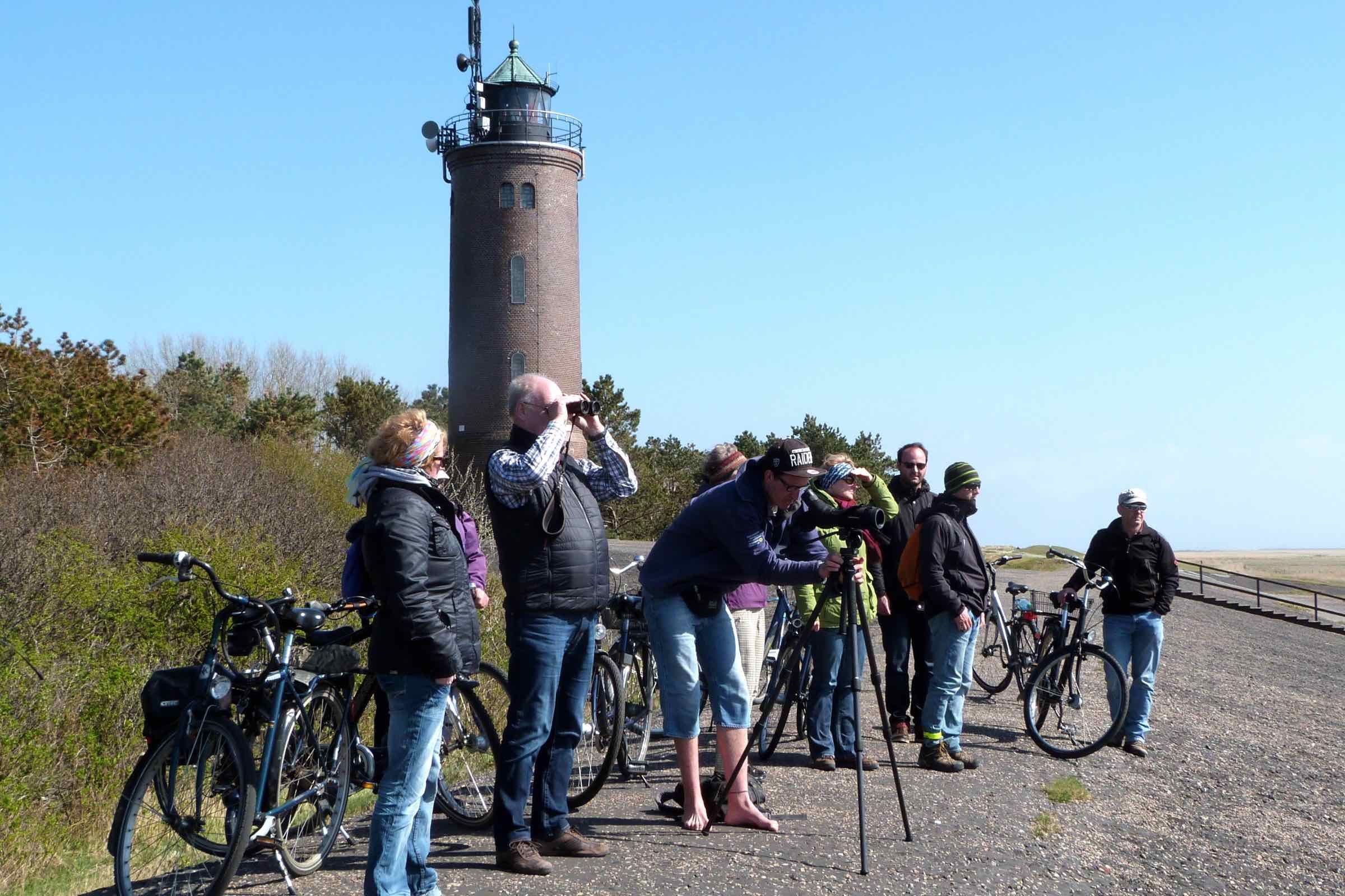 Vogelkundliche Fahrradtour: Bei Hochwasser können die Zugvögel nicht auf dem Watt nach Nahrung suchen. An ihren Rastplätzen im Weltnaturerbe vor dem Deich beobachten wir sie mit Fernglas und Fernrohr.