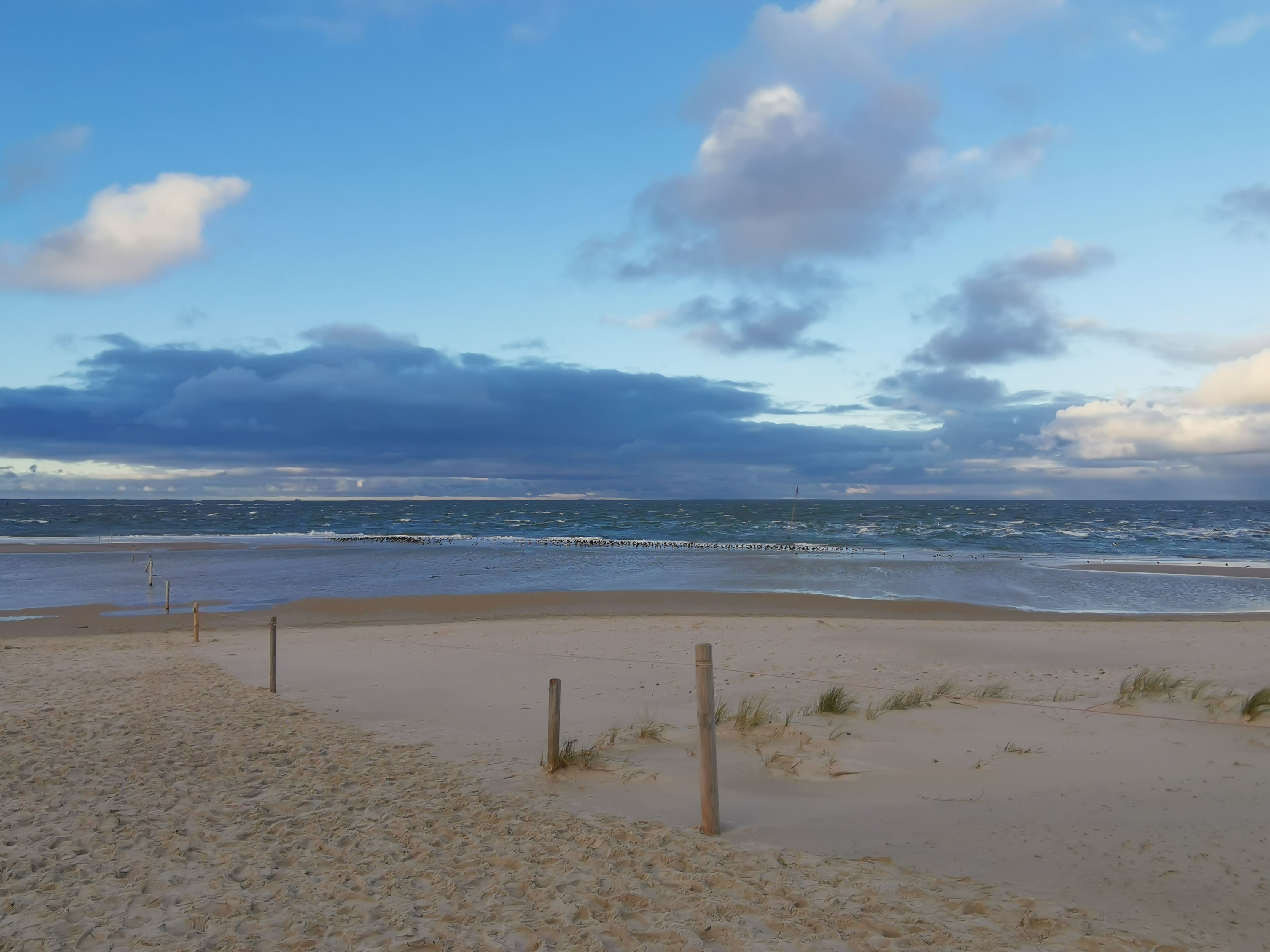 Blick auf die Amrumer Odde, im Hintergrund liegt das Meer