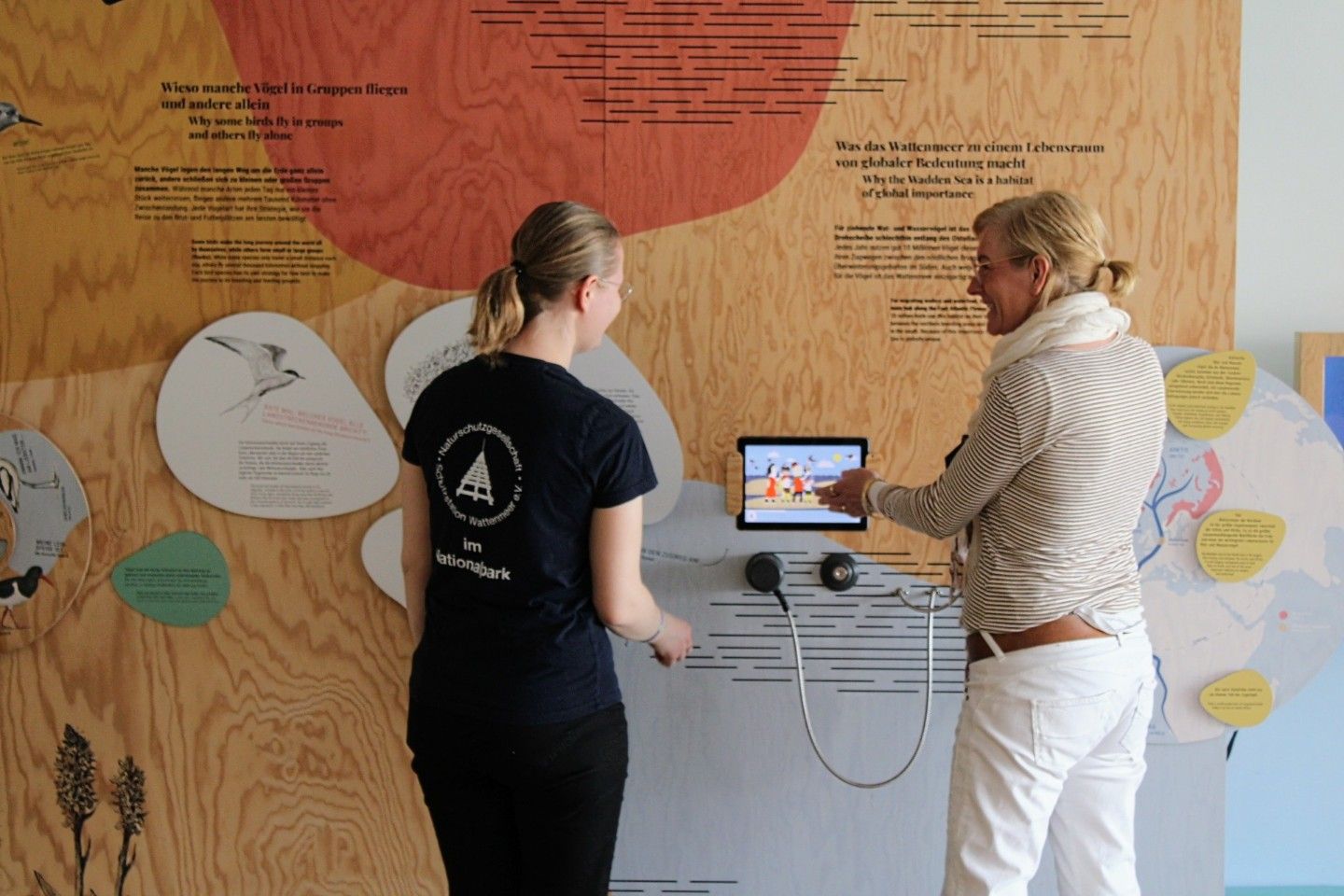 Besuchen Sie uns in unserer modernen und interaktiven Ausstellung! Bei einer Führung lernen Sie viel Spannendes über die Vogelwelt im Beltringharder Koog!
