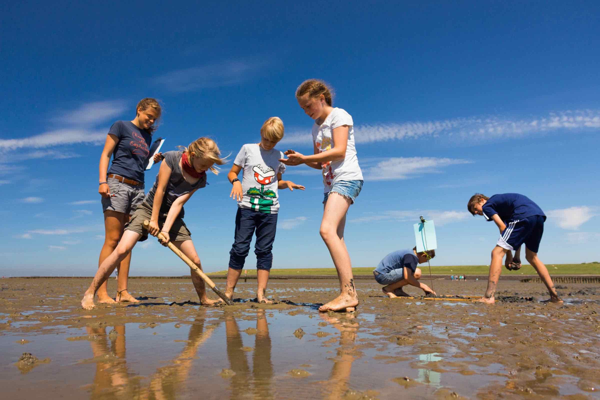 Entdeckt mit uns das Abenteuer Wattenmeer. Auf unserer Wattwanderung für Kinder und Familien lernen wir den Wattwurm und weitere Bewohner des Meeres kennen.