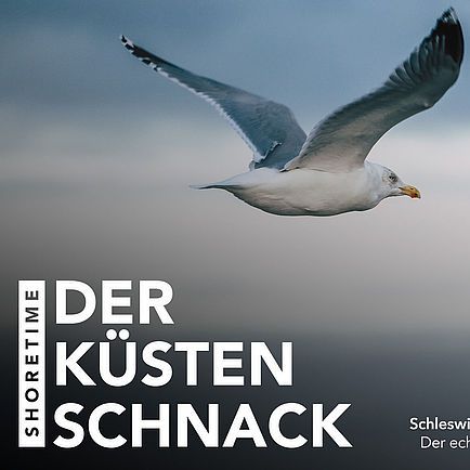 Cover vom "Shoretime - der Küstenschnack Podcast"