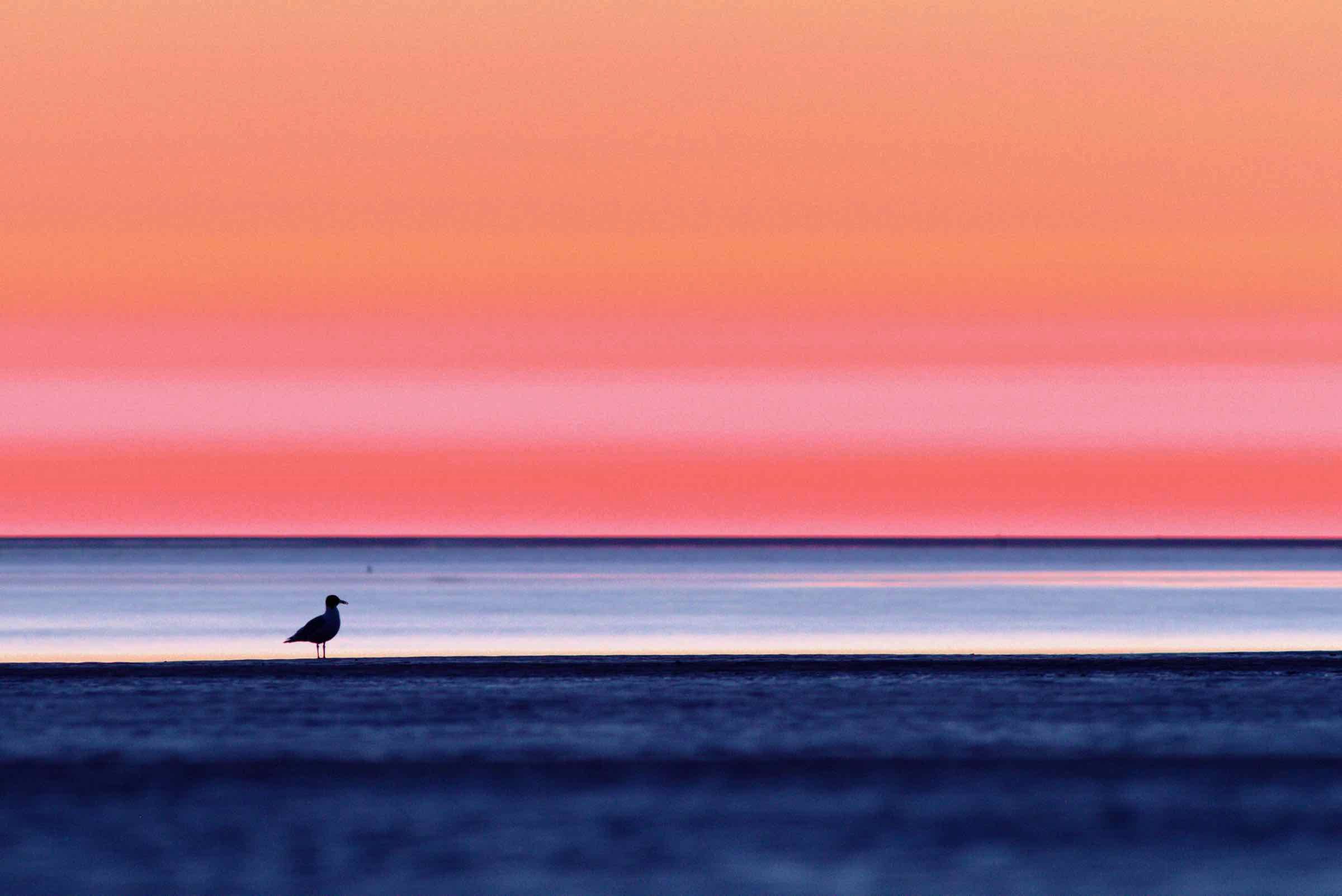 Sterne, Geschichten und Sagen - erleben Sie bei dieser Strand- und Dünenführung der besonderen Art die Inselküste bei Nacht.