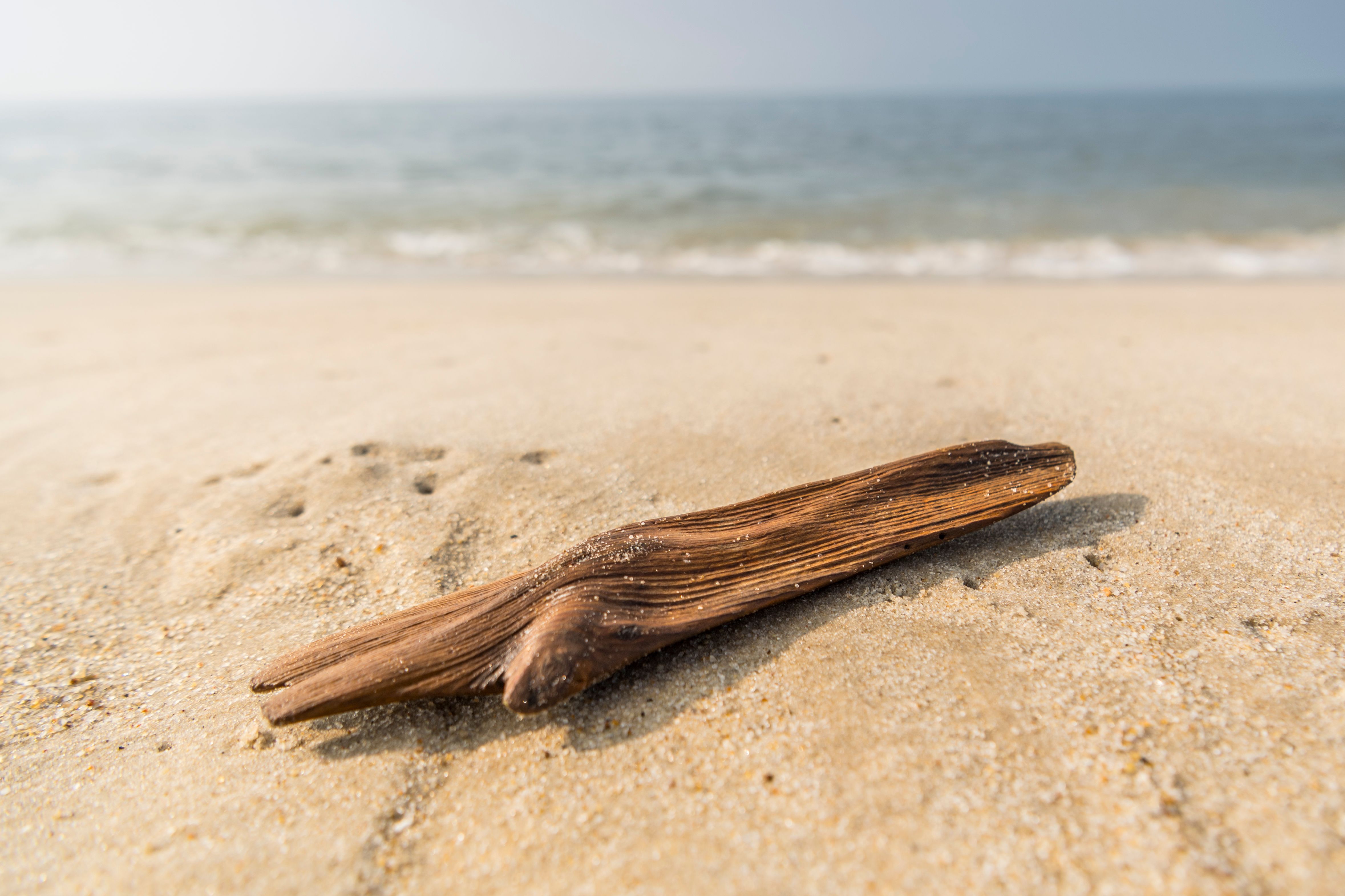 Ein Seestern liegt auf dem Sandstrand, im Hintergrund das Meer