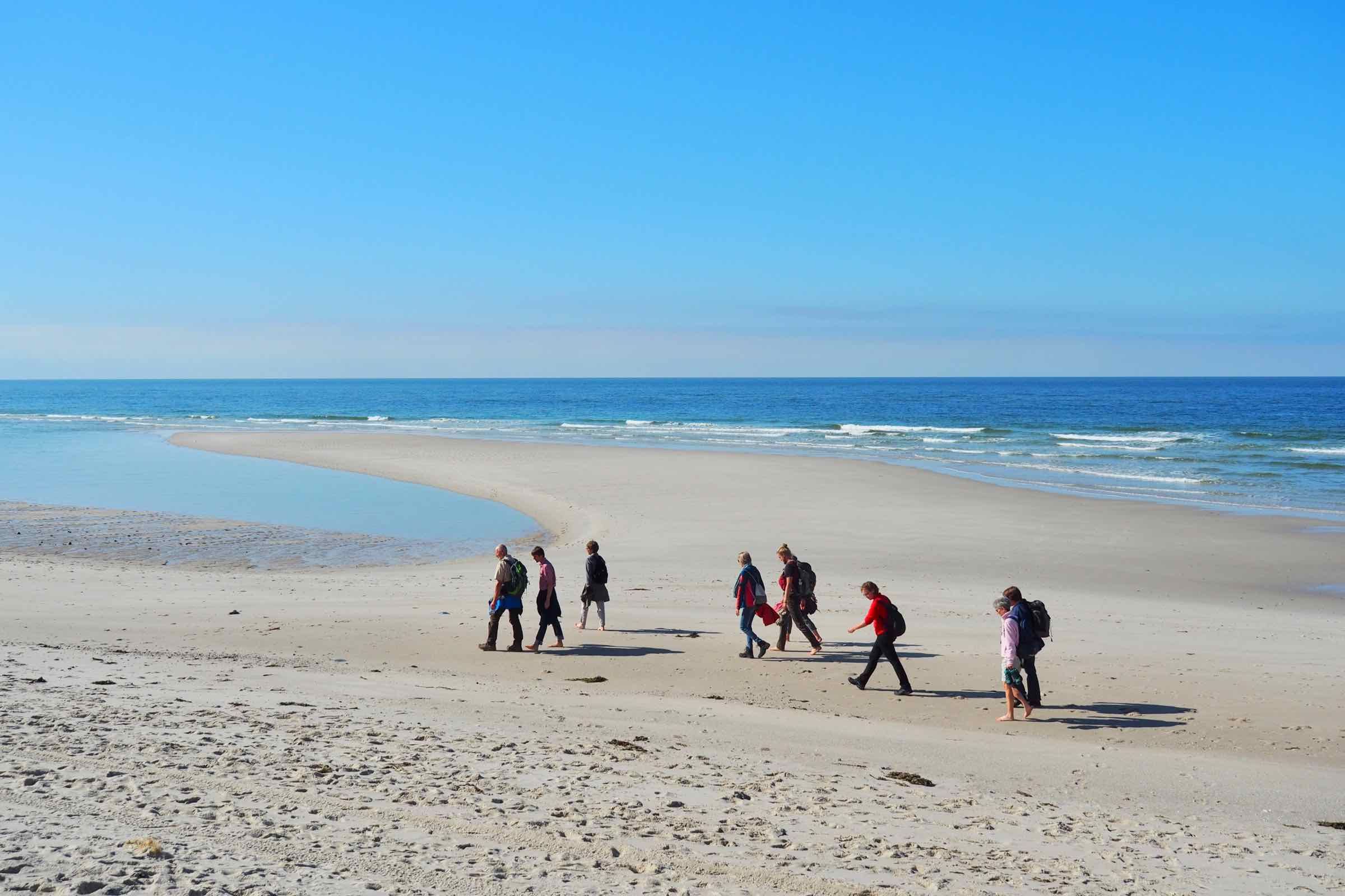 Den Strand kennt wohl jeder, doch mit uns entdecken Sie ihn im Detail: Wir erklären Ihnen Eigenschaften und Überlebensstrategien der Tiere und Pflanzen und gehen auf die Gefährdung der Nordsee ein.