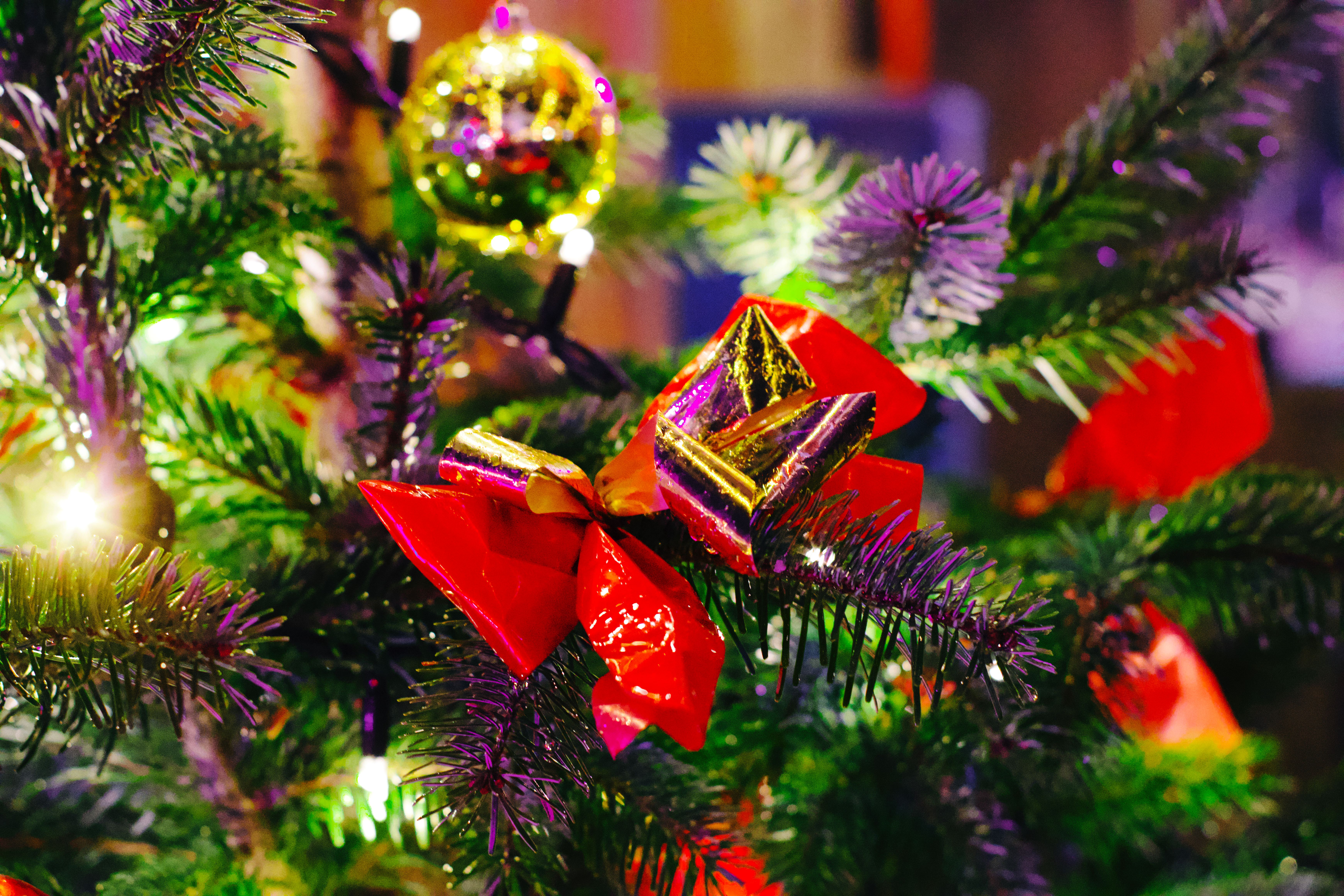 Eine rote Schleife und goldene Kugeln hängen in einem Weihnachtsbaum