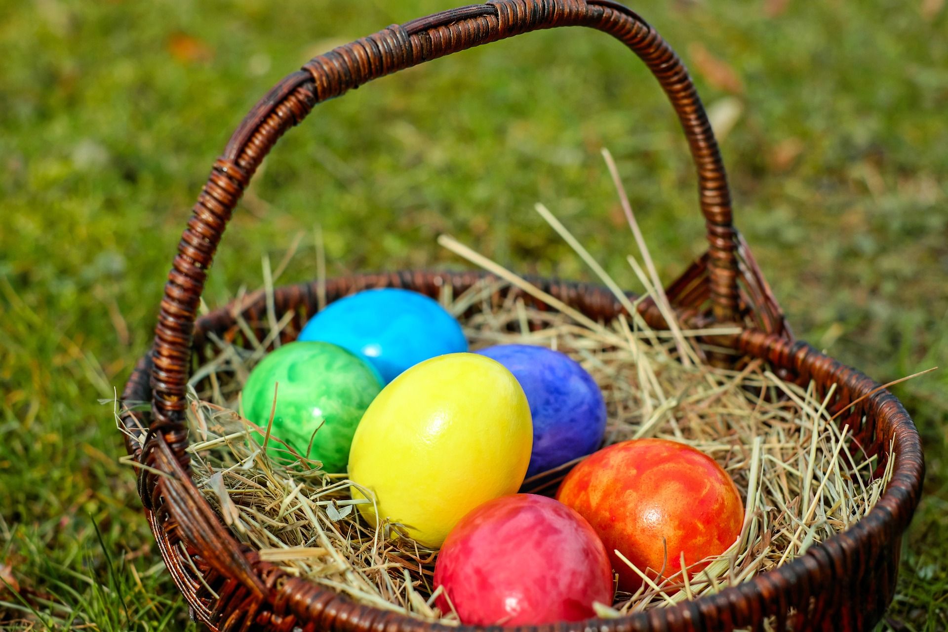 Bunt gefärbte Eier liegen in einem Osterkörbchen aus Holz, das im Gras steht