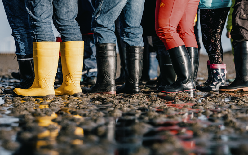 Blick auf die Gummistiefel der Teilnehmer auf einer Wattwanderung