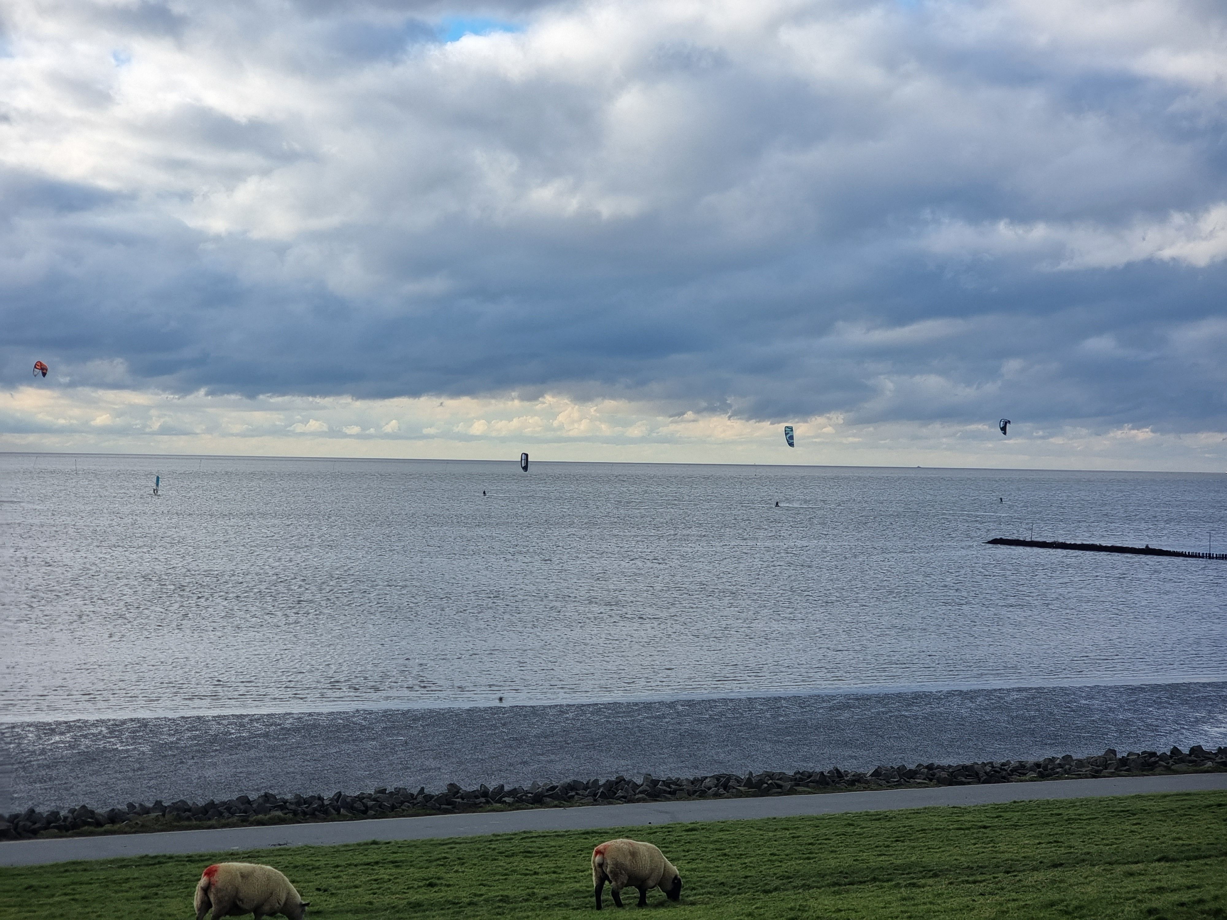 Blick vom Deich auf das Wasser vor der Meldorfer Bucht, dort sind viele Wassersportler unterwegs