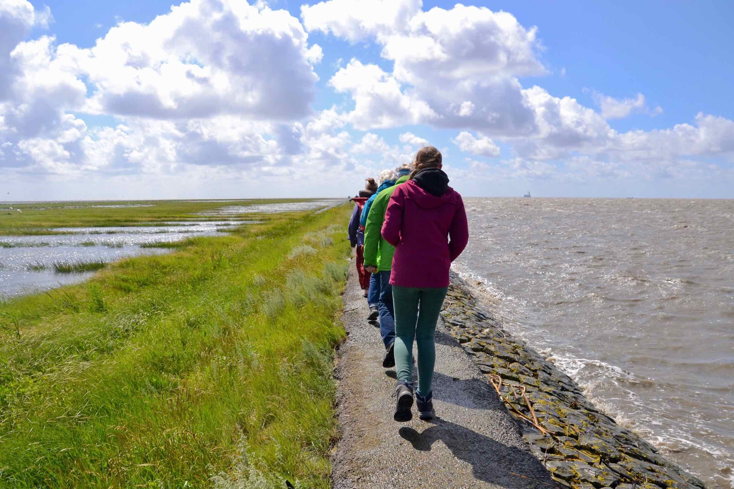 Nationalpark trockenen Fußes - Spaziergang über den Trischendamm: Sie sind zum ersten Mal in Friedrichskoog und möchten einen Überblick über Nationalpark, Tier- und Pflanzenwelt bekommen?