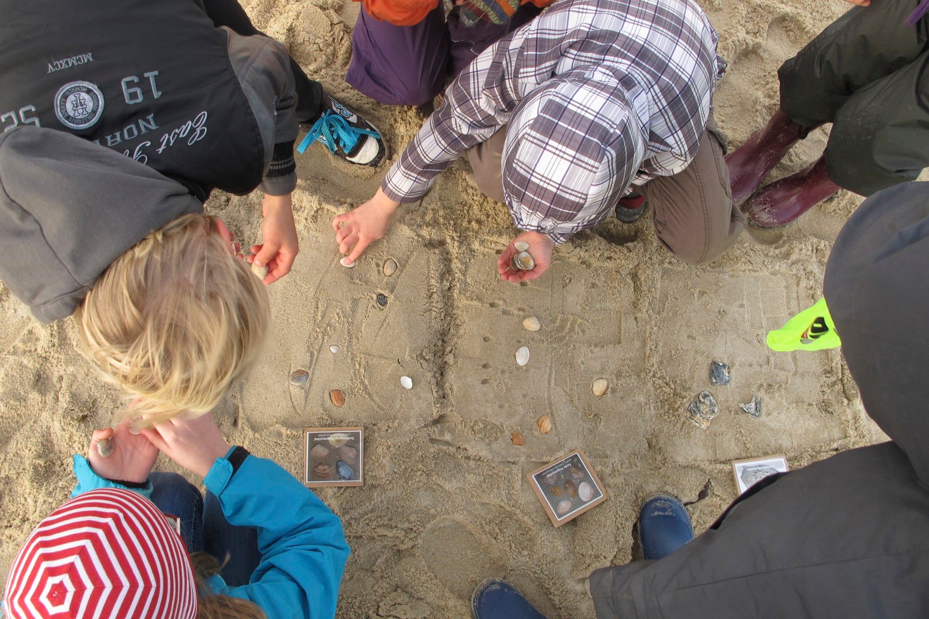 Unsere tierischen Freunde Friedo und Martje sind verschwunden! Werdet zu echten Stranddetektiven und findet durch geschicktes Kombinieren heraus, wo die beiden zu finden sind!