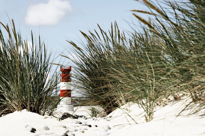 Blick auf Dünengras auf weißem Sandstrand, im Hintergrund ist der Helgoländer Leuchtturm zu sehen