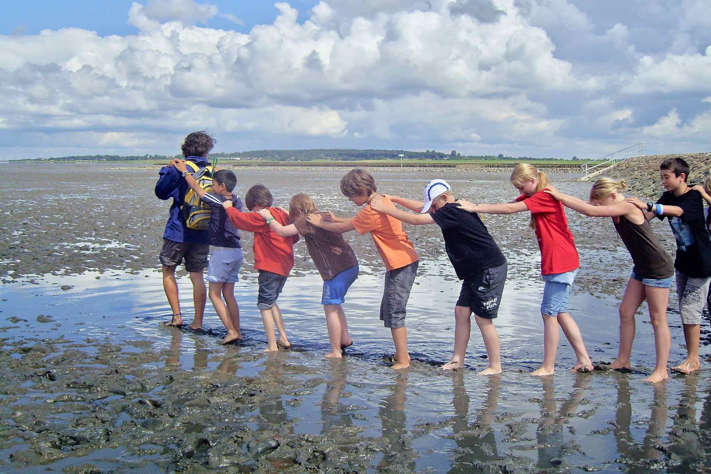 Entdecken Sie mit uns gemeinsam im Schlickwatt, welche Muscheln, Krebse und anderen Tiere im Sand und Schlick leben und wie sie sich dem Wechsel von Ebbe und Flut angepasst haben.