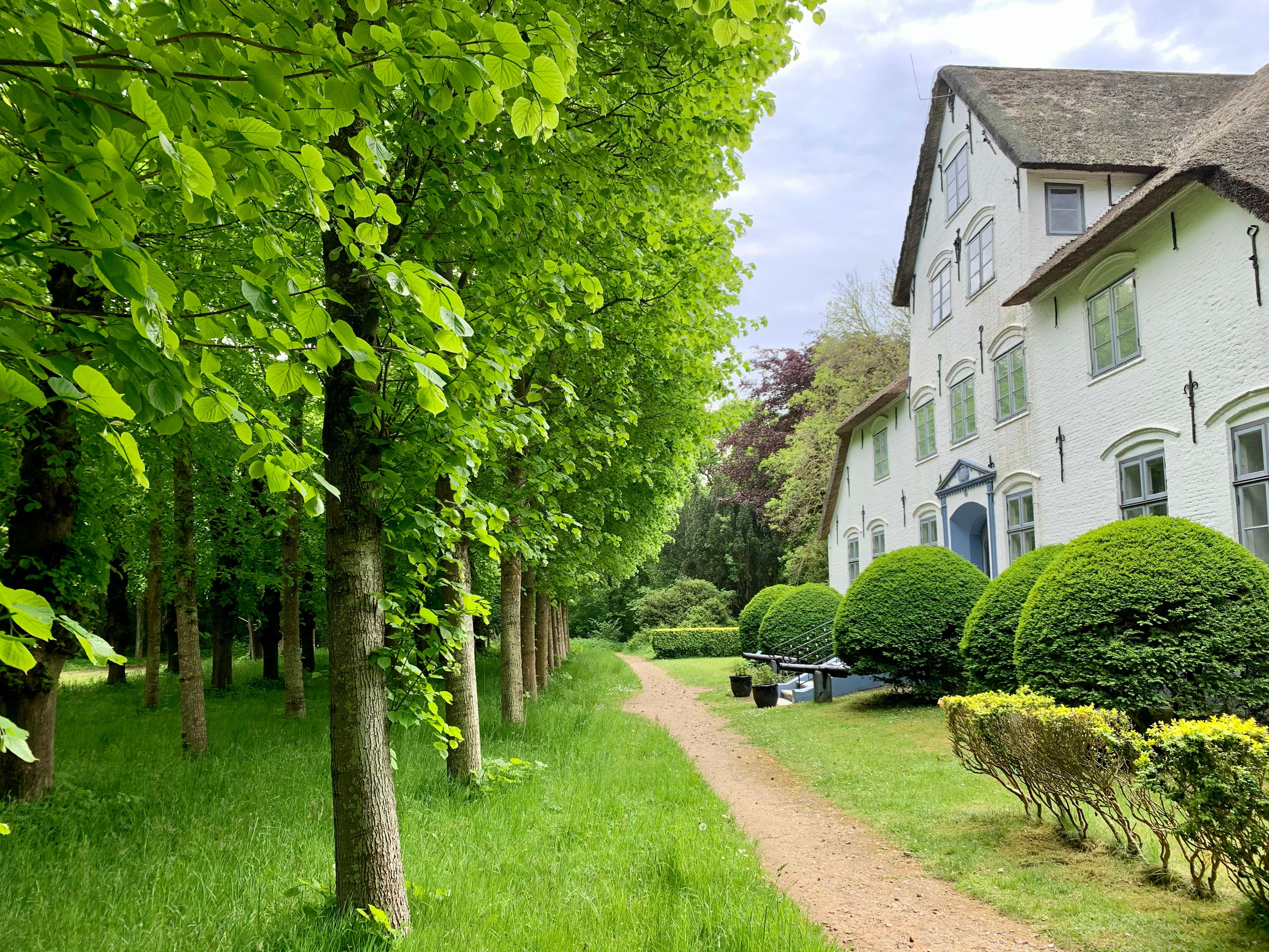 Blick in den grünen Hochdorfer Garten von Tating