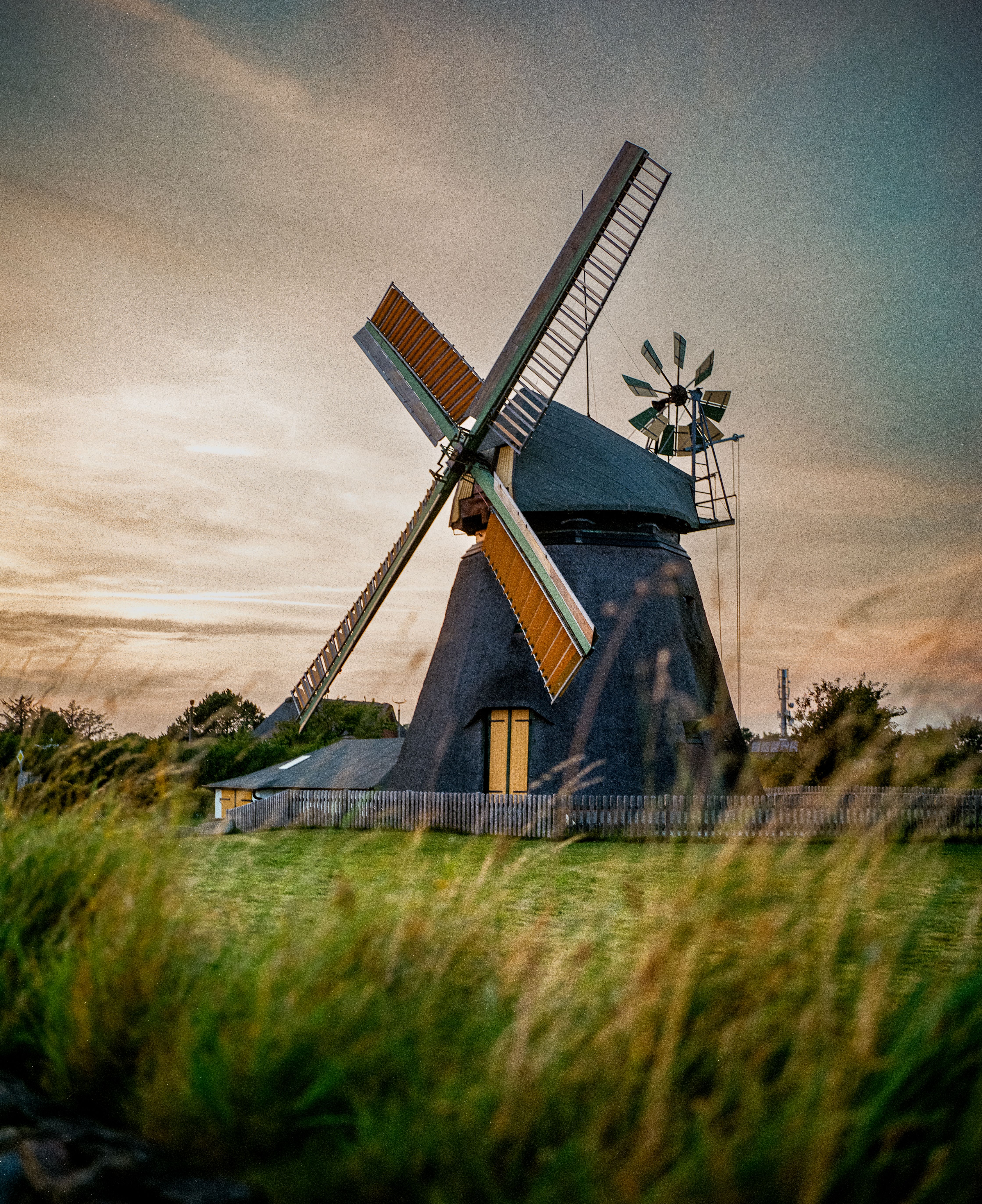 Die Amrumer Mühle steht inmitten von grünen Weiden