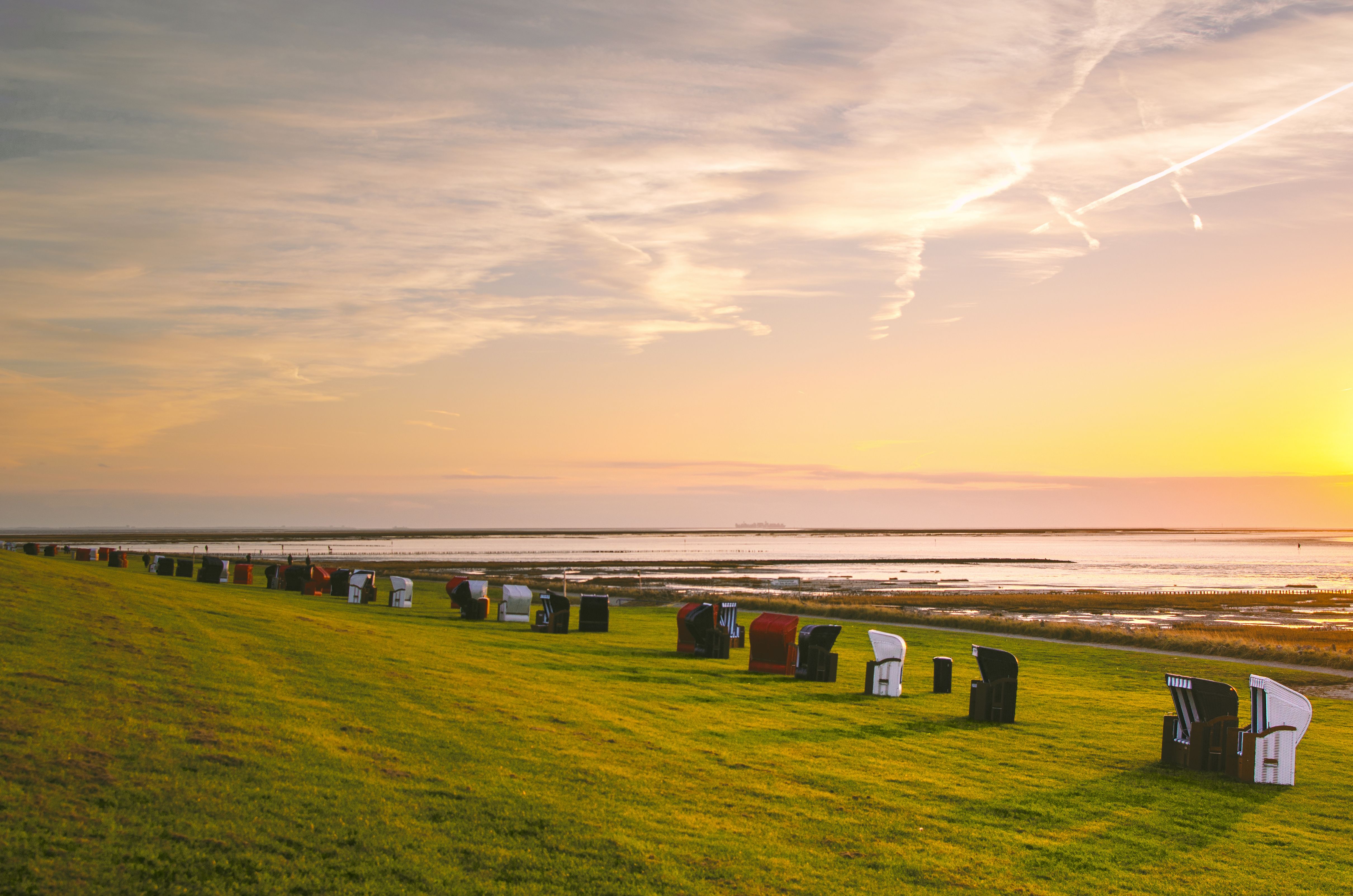 Strandkörbe am Grünstrand in Friedrichskoog