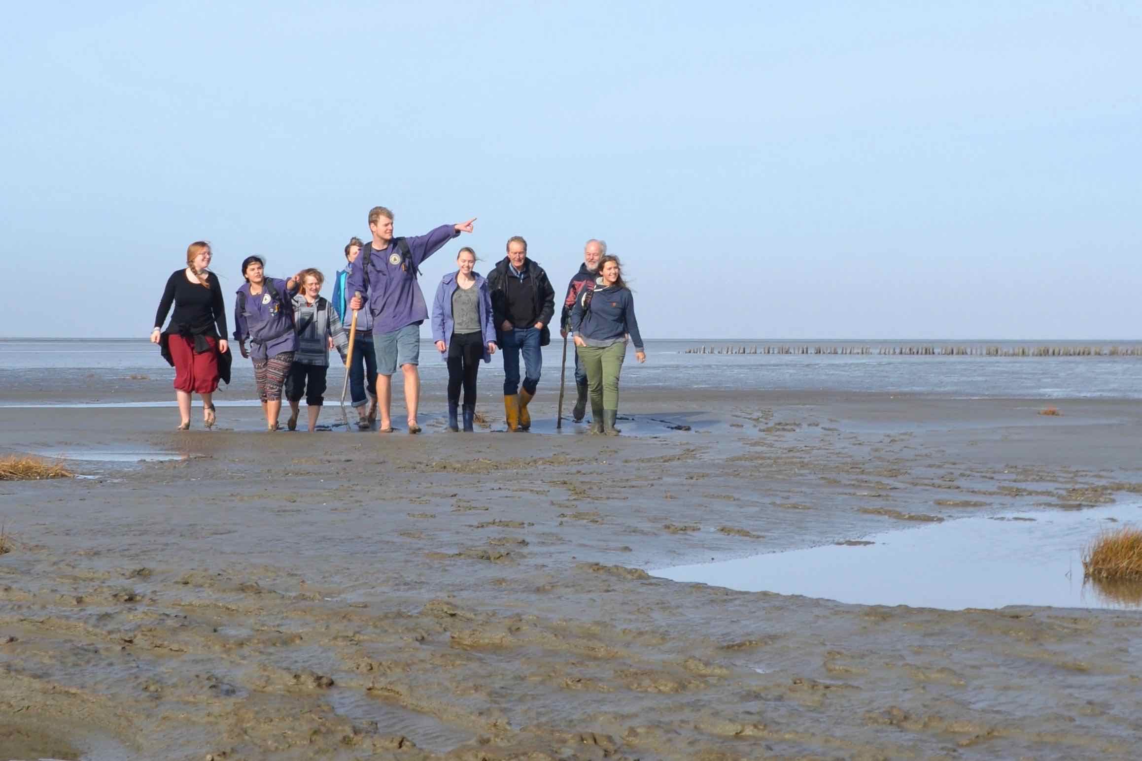 Bei dieser Wattführung zeigen wir Ihnen warum das Wattenmeer so besonders ist und welche Arten in diesem Lebensraum der Extreme überleben können. Natürlich graben wir auch einen Wattwurm aus!