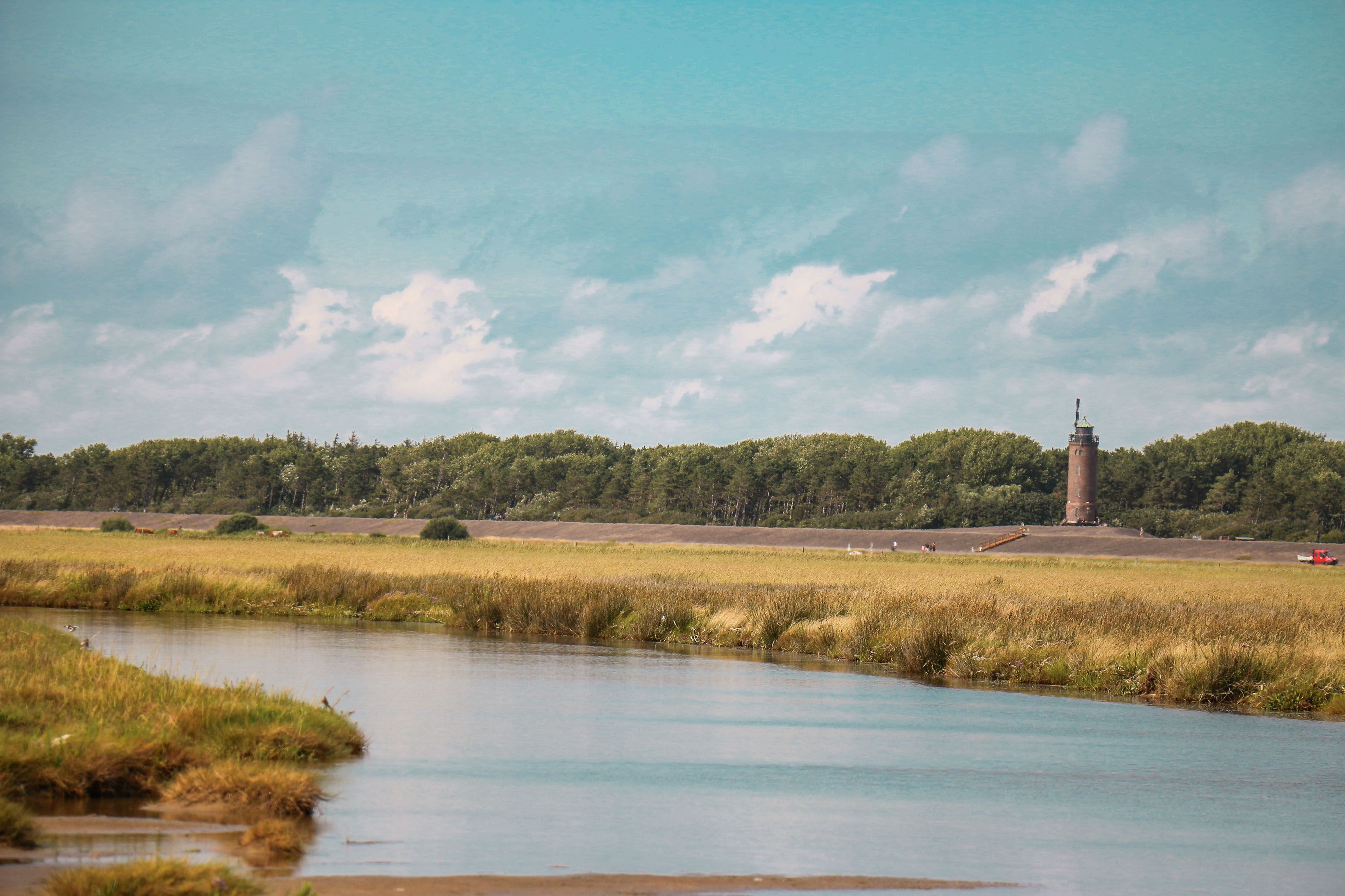 Blick über die Salzwiesen hin zum Böhler Leuchtturm