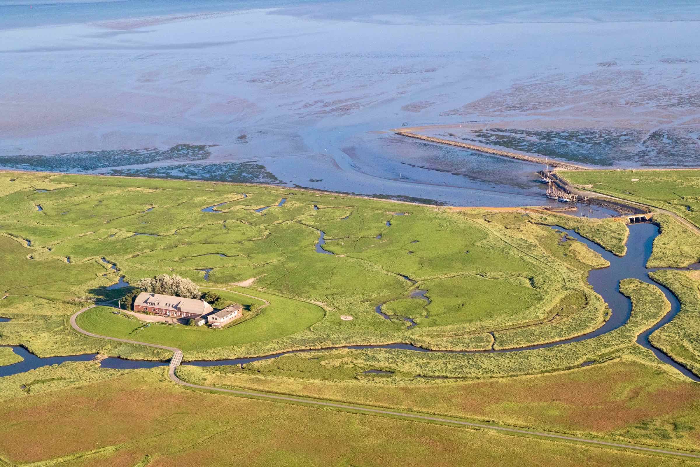 Das Wattenmeer - ein Lebensraum auf den zweiten Blick. In unserem Vortrag zeigen wir Ihnen, wie sich die Bewohner des Nationalparks an diesen faszinierenden und dynamischen Lebensraum angepasst haben.