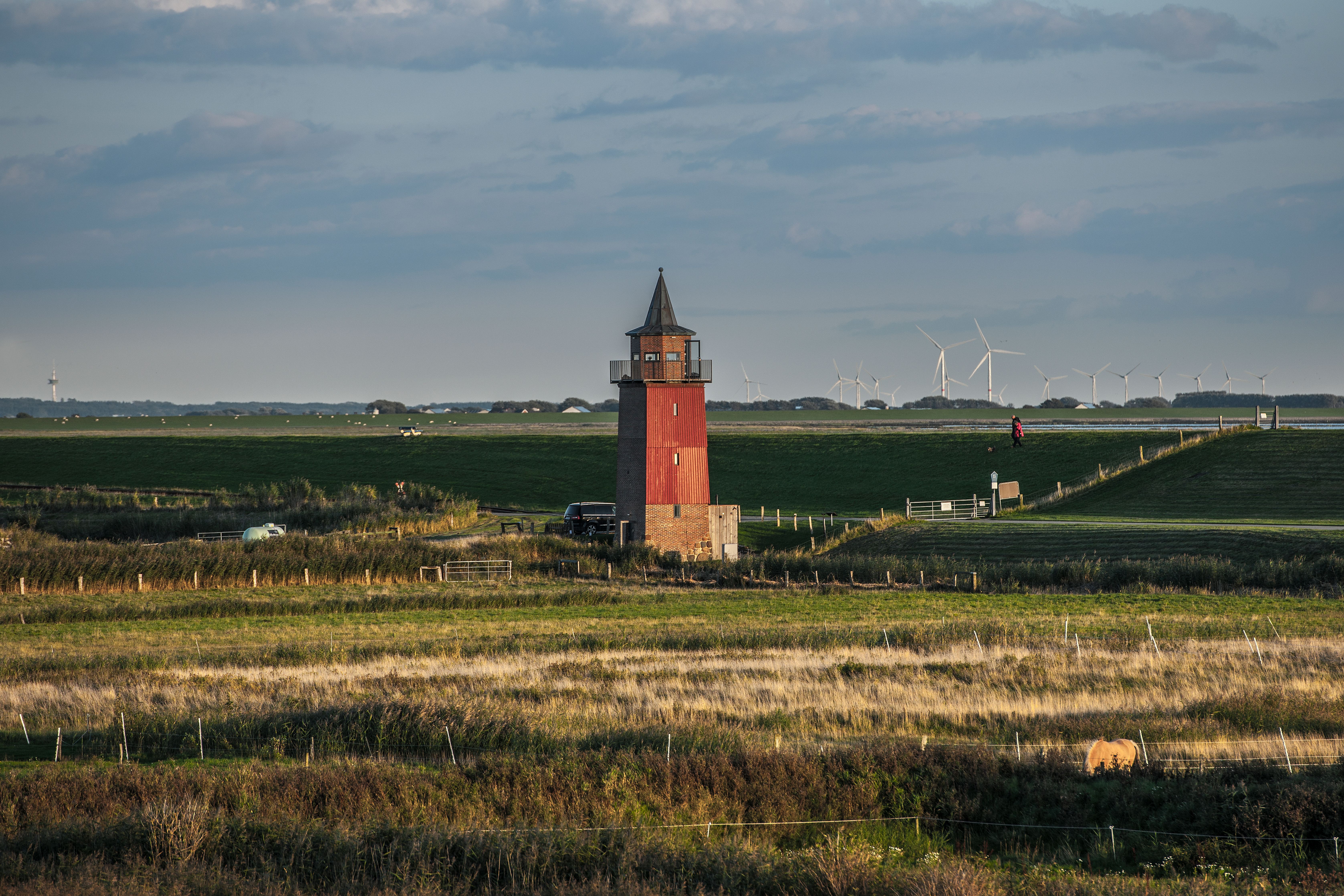 Blick über grüne Wiesen hin zum Dagebüller Leuchtturm