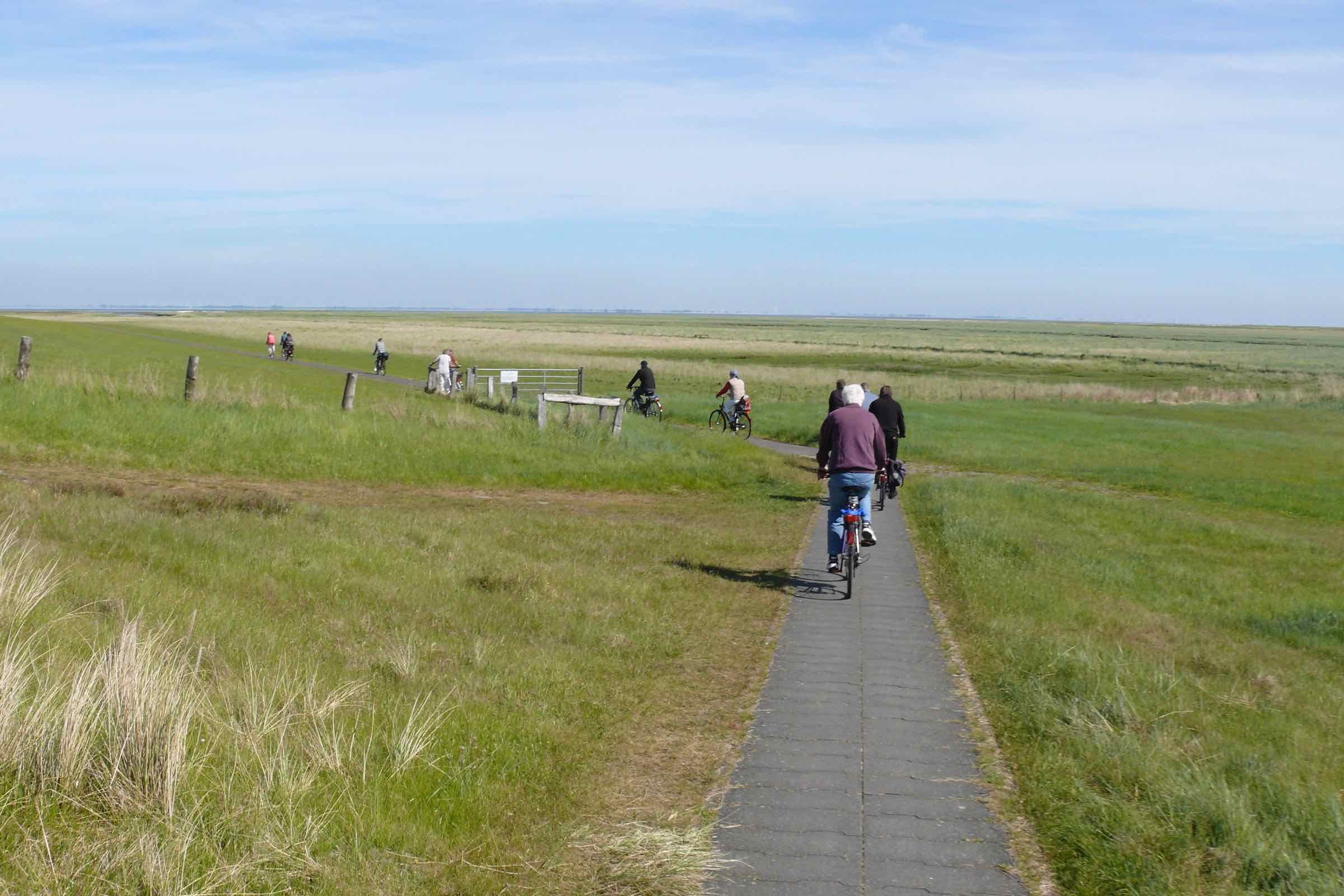 Vogelkundliche Fahrradtour: Bei Hochwasser können die Zugvögel nicht auf dem Watt nach Nahrung suchen. An ihren Rastplätzen im Weltnaturerbe vor dem Deich beobachten wir sie mit Fernglas und Fernrohr. Bitte anmelden unter: Tel: 04863-5303