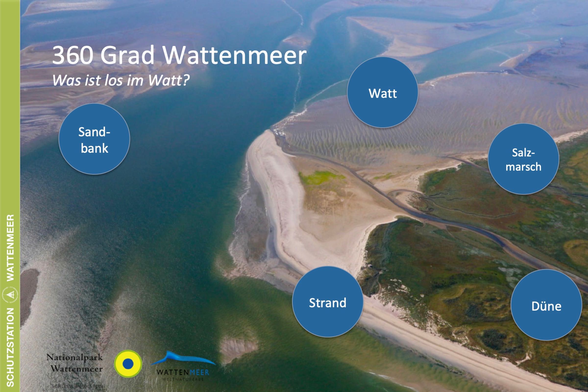 Ebbe und Flut, Sand und Schlick, Pflanzen und Tiere, Natur und Mensch - Dieser Vortrag nimmt Sie mit auf eine abwechslungsreiche Reise durch das Weltnaturerbe Wattenmeer vor Büsum.