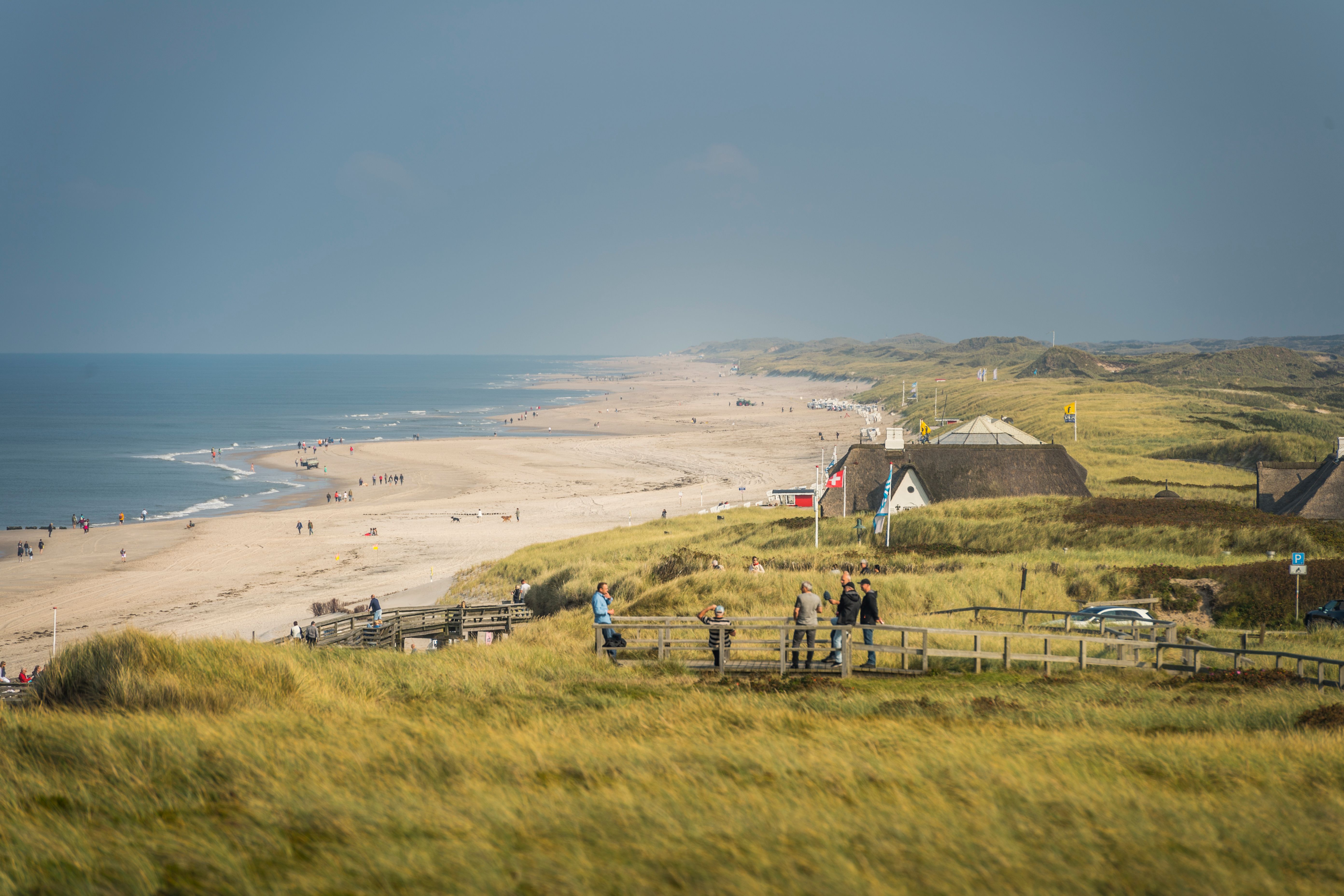 Blick auf den Bohlenweg, der durch die Dünen vor dem Kampener Strand verläuft, im Hintergrund ist das Meer und Strand