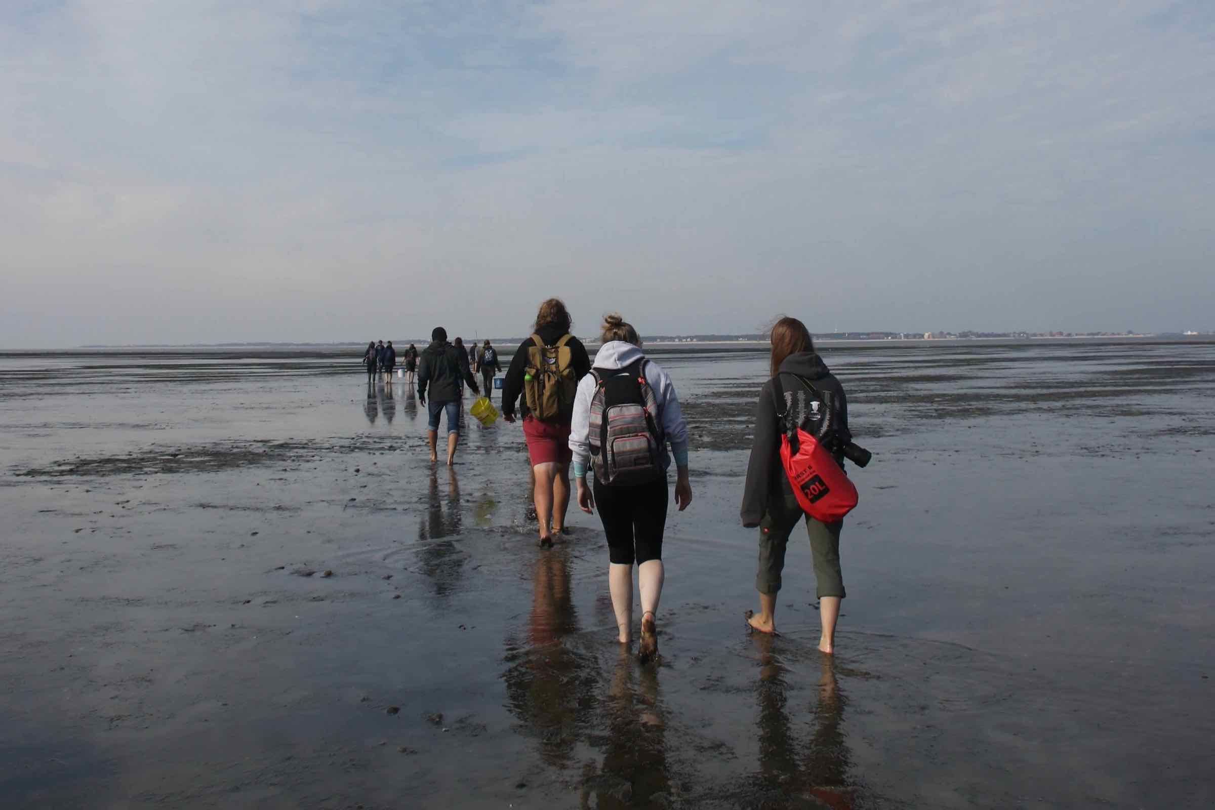 Was sind die Folgen des Klimawandels für das Wattenmeer? Welche Folgen hat der Meeresspiegelanstieg für die hier vorkommenden Pflanzen und Tiere? Wir suchen bei dieser Wattwanderung nach Antworten.