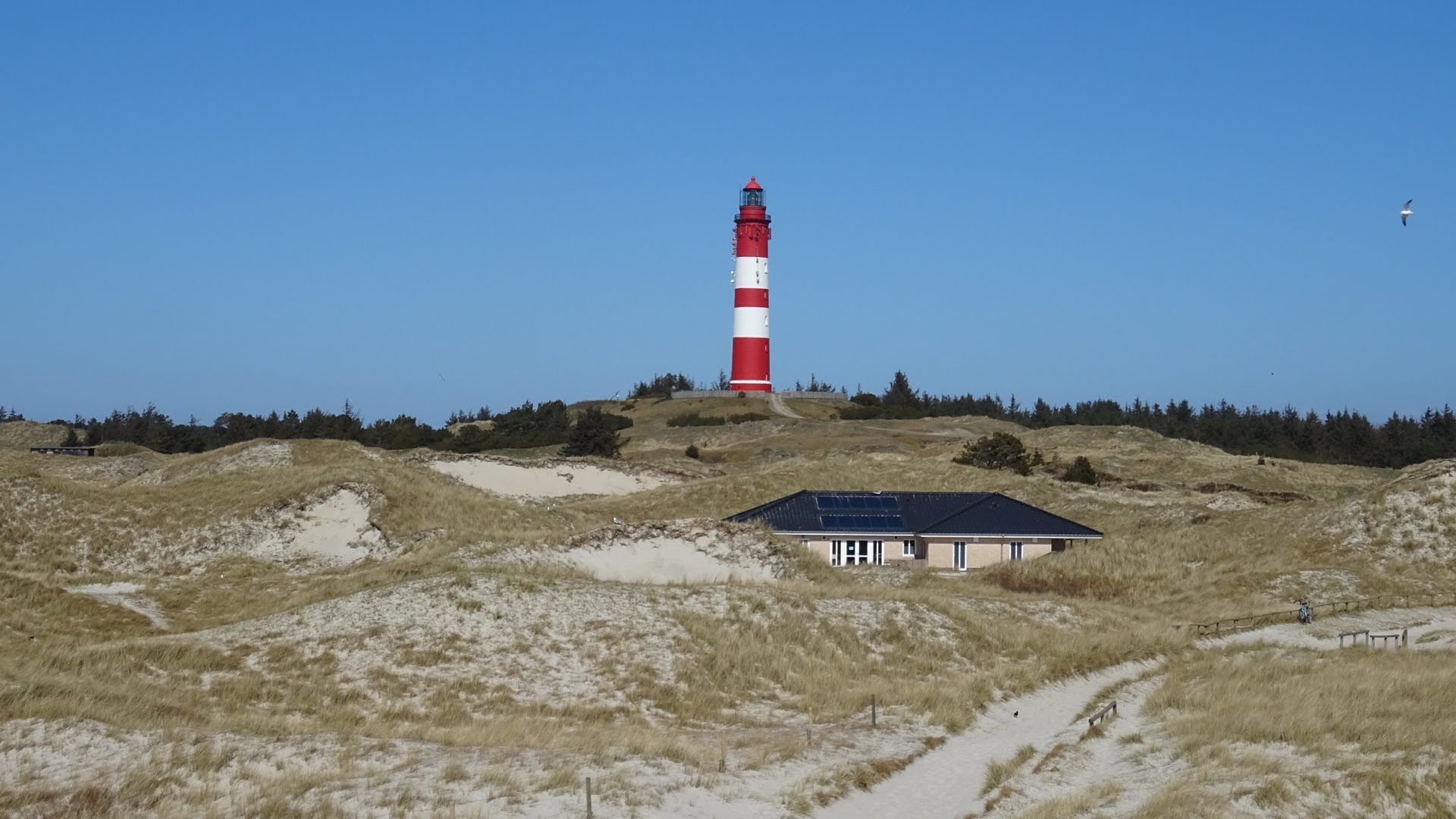 Blick auf den FKK-Zeltplatz vor dem Amrumer Leuchtturm