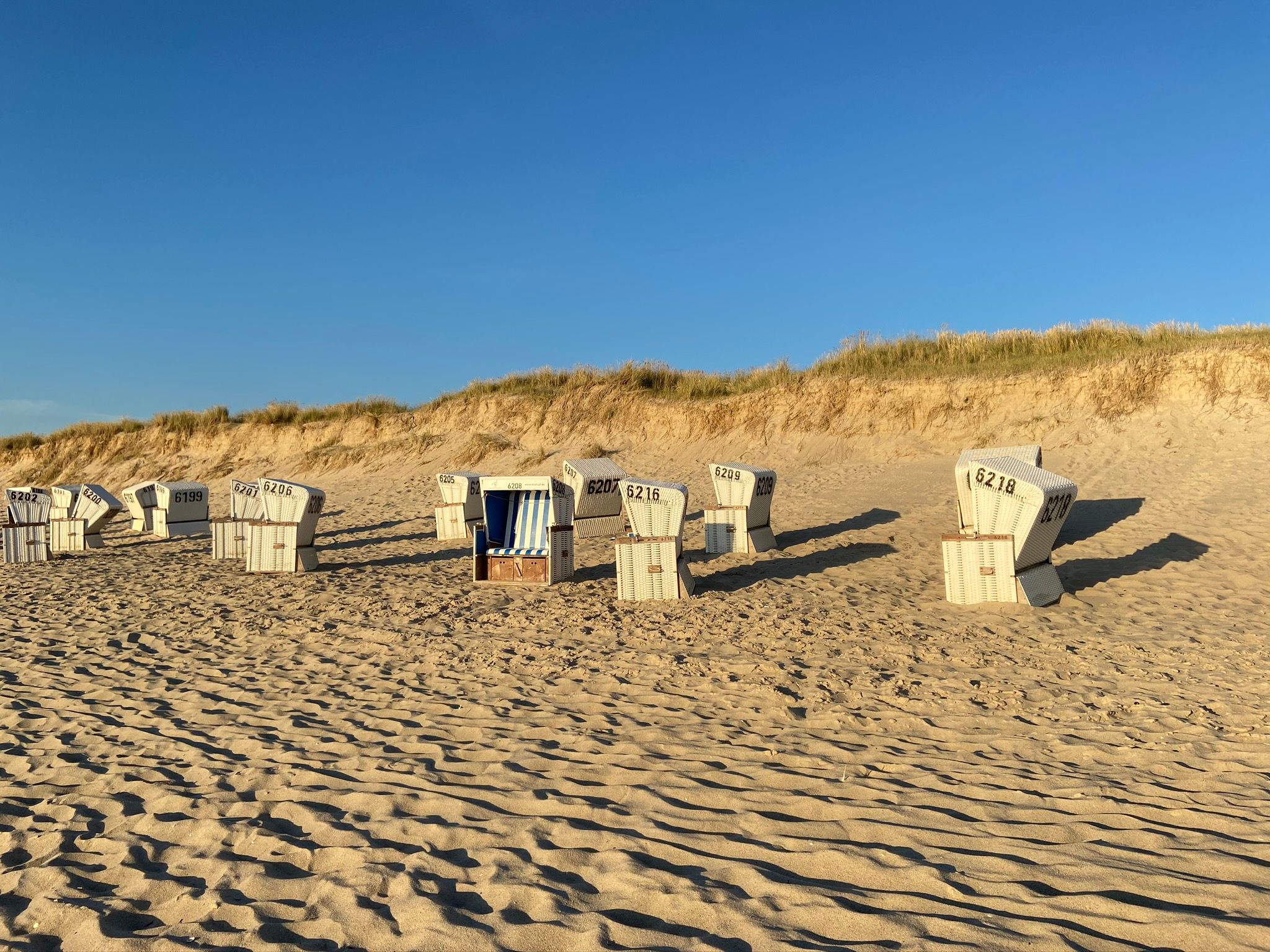 Viele Strandkörbe stehen am Sandstrand Samoa