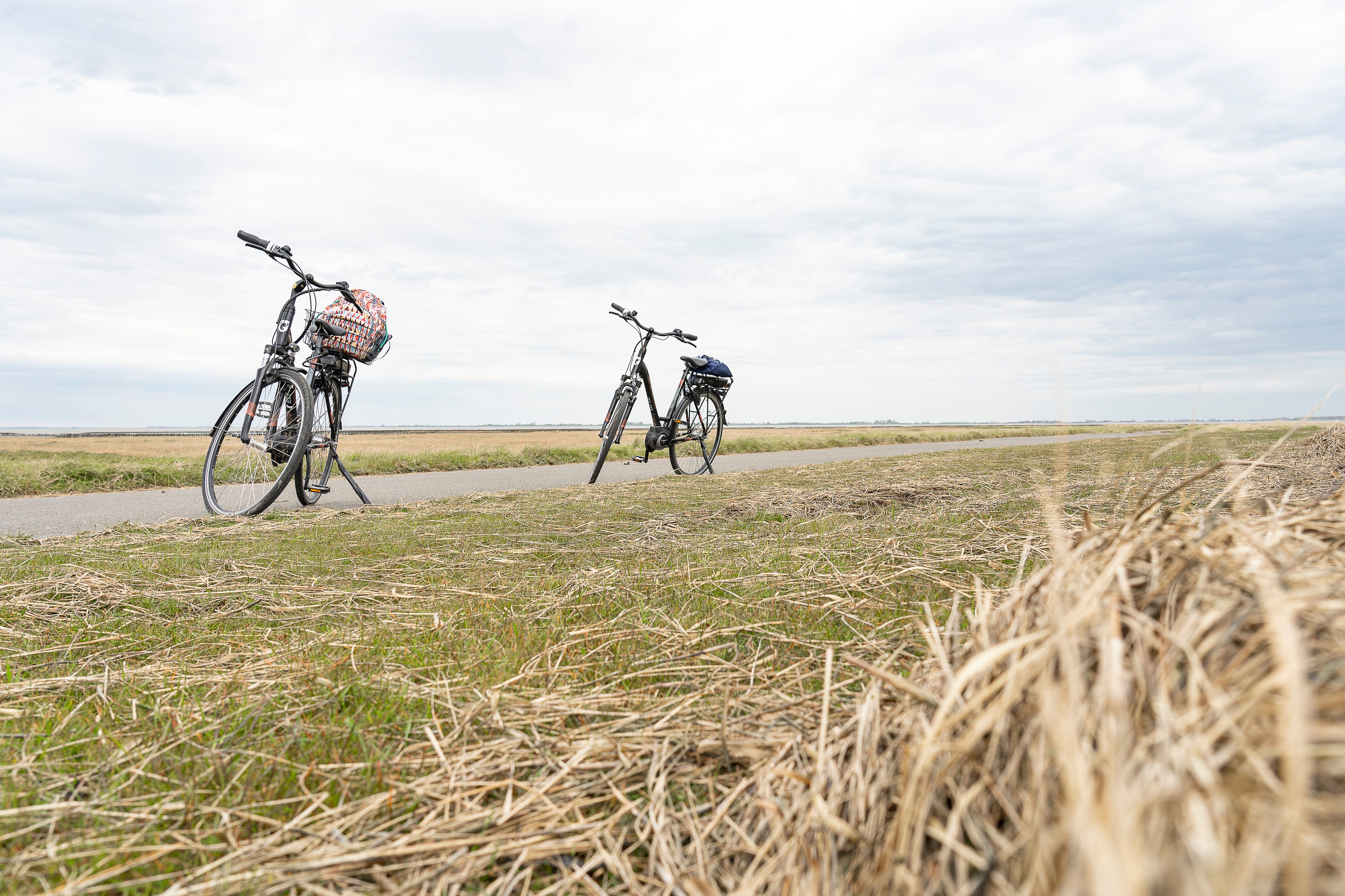 Radfahren am Deich